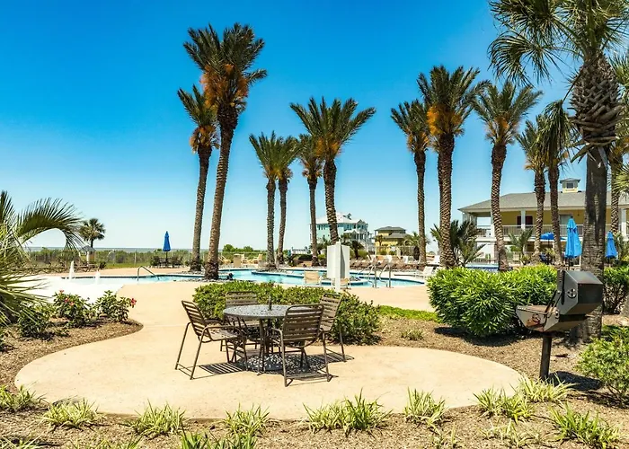The Oasis