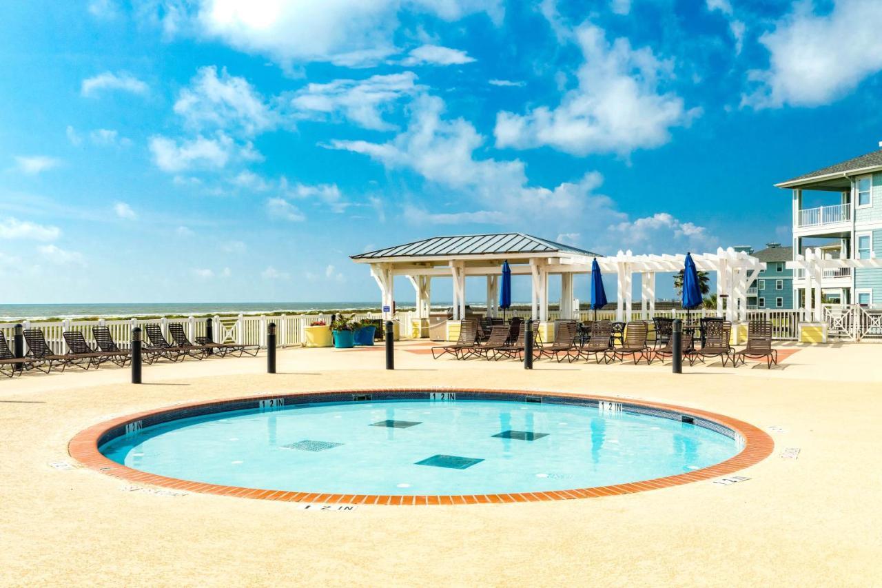 Appartement The Oasis *